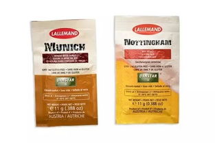 夏日必備的微醺藝術 走進精釀吧，探索啤酒酵母的奇妙世界